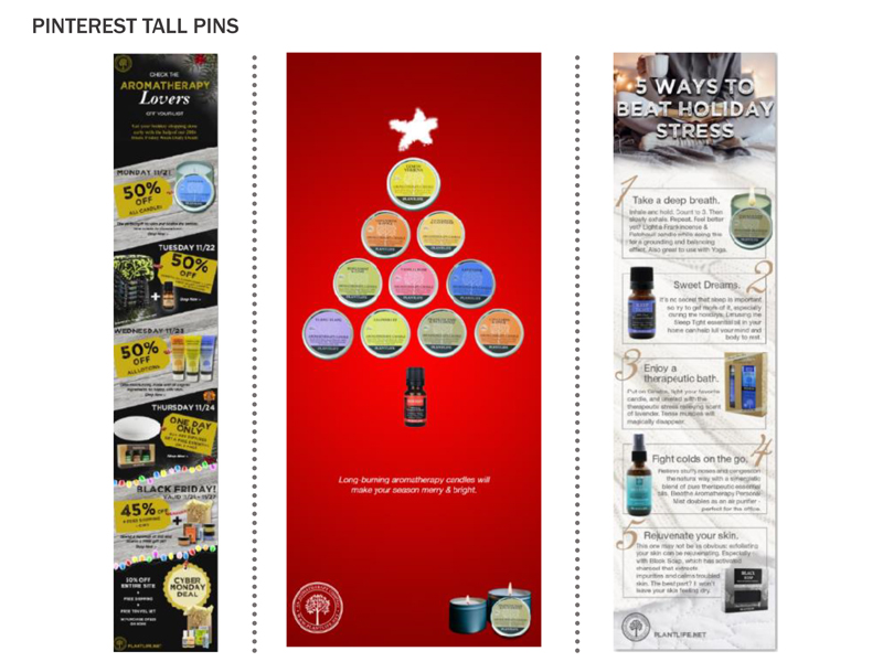 Plantlife Digital Marketing Campaign Case Study - Pinterest